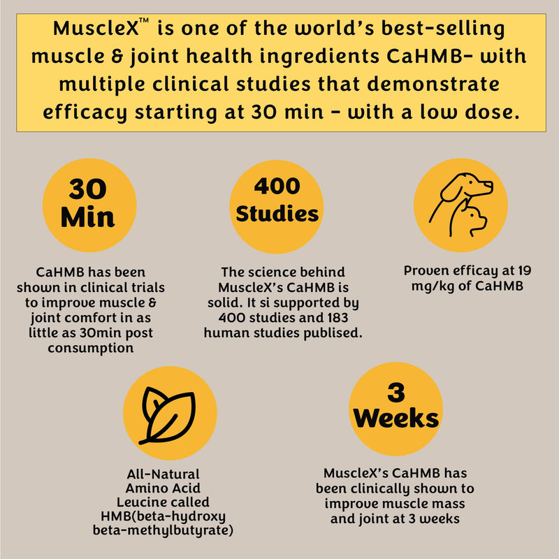 MuscleX™ Canine Muscle Formula Cats & Small Dogs with 300 mg CaHMB & Vitamin D3 - Natural Muscl Building Formula-Helps Reduce Muscle Loss Due to Normal Aging & Improves Recovery from Injury(180 Caps)