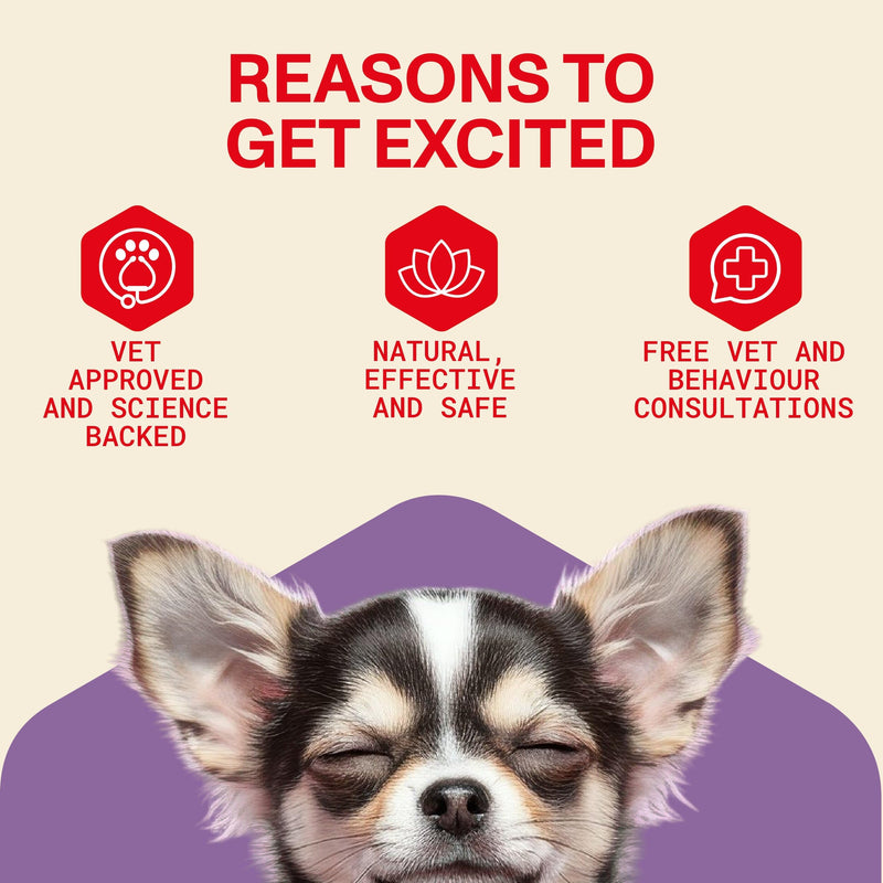 Omni Dog Calming Plug In Diffuser with Pheromones for Dogs - Inspired by Nature, Helps Calm Your Dog from Separation Anxiety, Fireworks, Travel or Tension, Covers 700 Sq Ft, Diffuser & x2 48ml Refills Calming Plug In Diffuser + 2x Refill