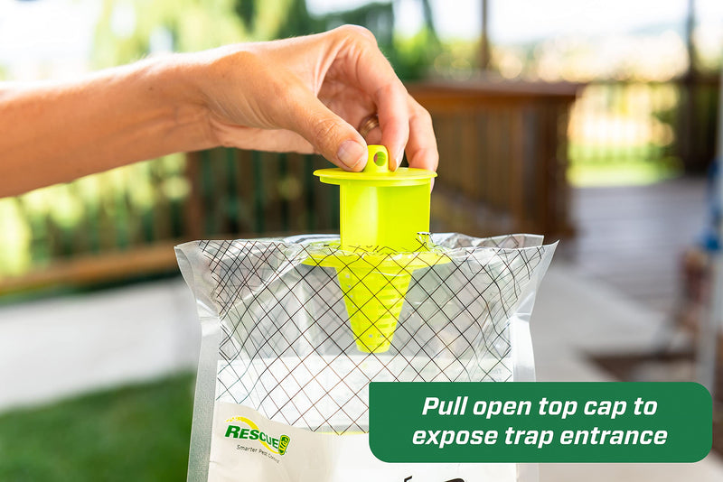 RESCUE! Big Bag Fly Trap – Disposable, Outdoor Use - 2 Traps 2 Pack - BeesActive Australia