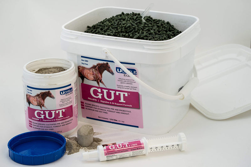 Uckele Gut Horse Supplement - Equine Vitamin & Mineral Supplement - 2 pound (lb) - BeesActive Australia