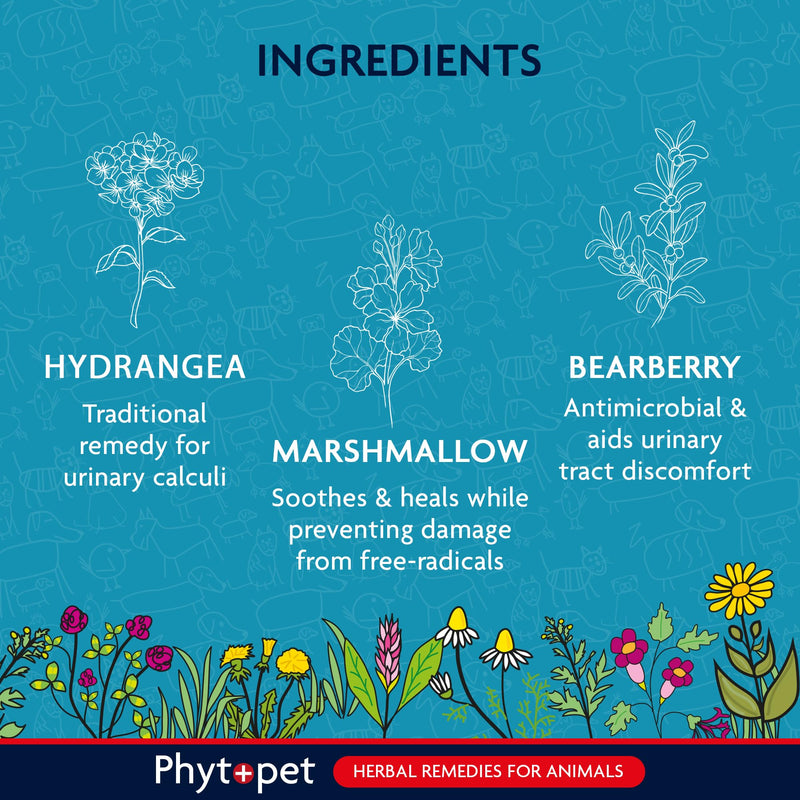 Phytopet Aqua, All Natural Cat and Dog Bladder Control for Small Pets, Fast-Acting Herbal Pet Remedy 30ml - 100% Herbal Phytopet Pet Supplies