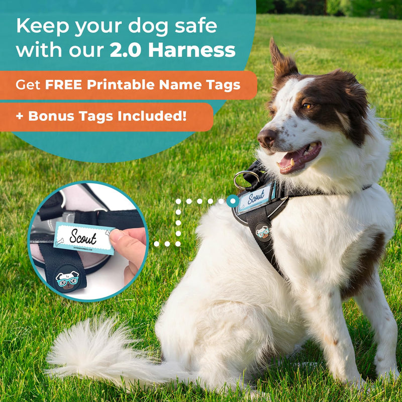 Joyride Harness LED Light Up Dog Harness 2.0 - Patent Pending Design, 3 LED Modes, Vibrant Rechargeable Lighting, Customizable Name Tag Area, and Convenient On/Off Button for Enhanced Pet Safety Large Black - BeesActive Australia