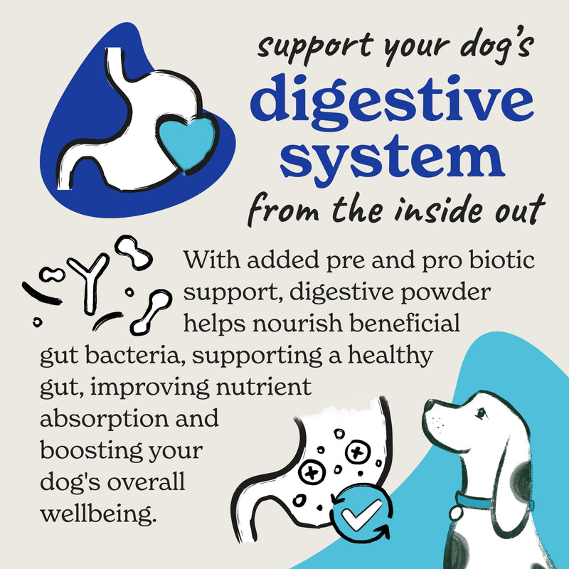 Forthglade Digestive Powder for Dogs, 200g, Pre & Pro Biotic with Psyllium Husk, Natural, Grain Free Supplement for Gut Health, Promotes Healthy Digestion & Nutrient Absorption