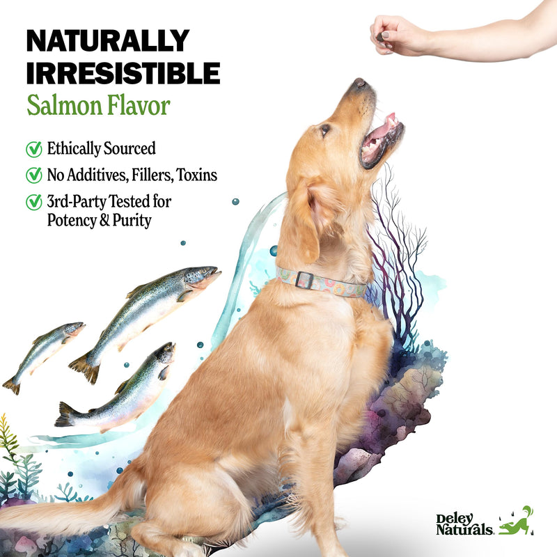 Deley Naturals Dog Allergy Chews - Omega 3 Fish Oil for Dogs with DHA & EPA, Biotin, Collagen, Vitamins C, E, & Zinc, Supports Shiny Coat - Dog Itching Relief Salmon Flavor - Dry Skin Relief for Dogs - PawsPlanet Australia