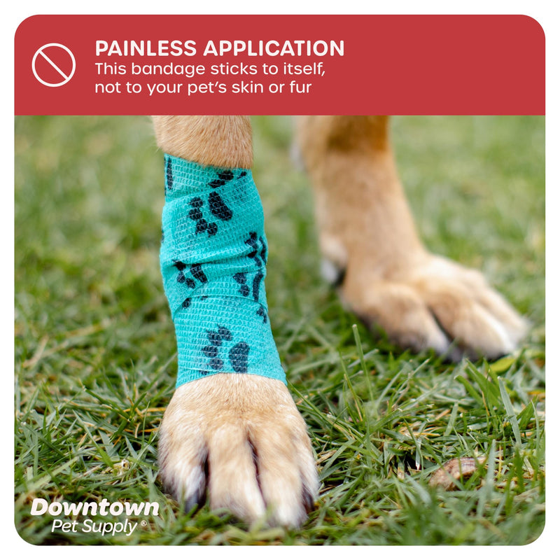 Cohesive Vet Wrap for Dogs, Self Adhesive Bandages in Bulk, Pet Cat Wound Care, Gauss Bandage for Horses by Downtown Pet Supply (Rainbow Horse, 10 Pack) Rainbow Horse - BeesActive Australia