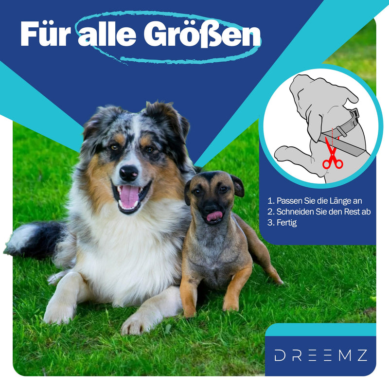 DREEMZ ® tick collar for dogs - flea collar dog flea protection collar for dogs - tick collar - 100% natural - protective collar against fleas - 8 months protection - 63cm adjustable (2 units) 2 units - BeesActive Australia