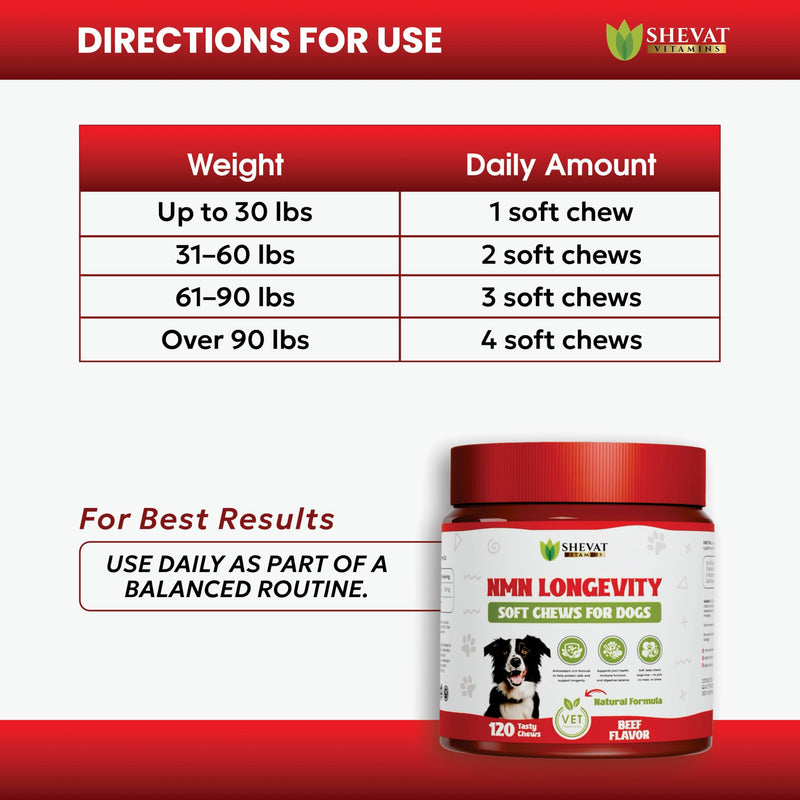 NMN Longevity Soft Chews for Dogs – Beef Flavored – Antioxidant Support for Joint Health, Immune Function, and Cellular Protection – 120 Count