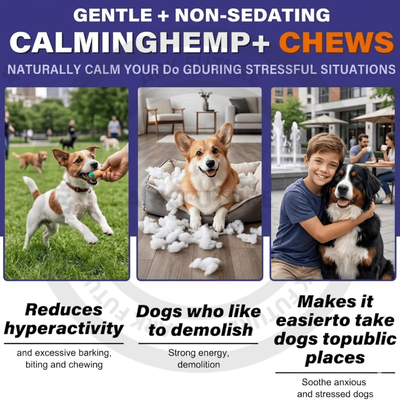Large Hemp Calming Dog Chews 150 – Chicken Flavor Stress & Anxiety Support, Natural Relaxation Treats for Dogs, Soft Chews for Hyperactivity & Nervous Behavior (Pack of 1)