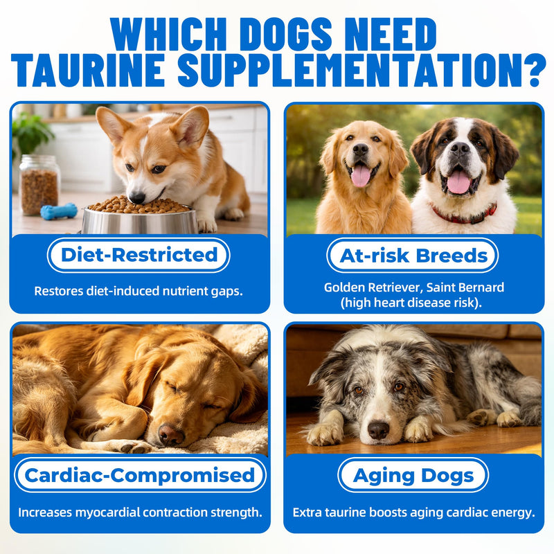 Just Try 18 oz. Taurine Supplement Coq10 for Dogs with L-Carnitine & Coenzyme Q10 Support Dog Heart, Immune and Eyes Health 18 Ounce