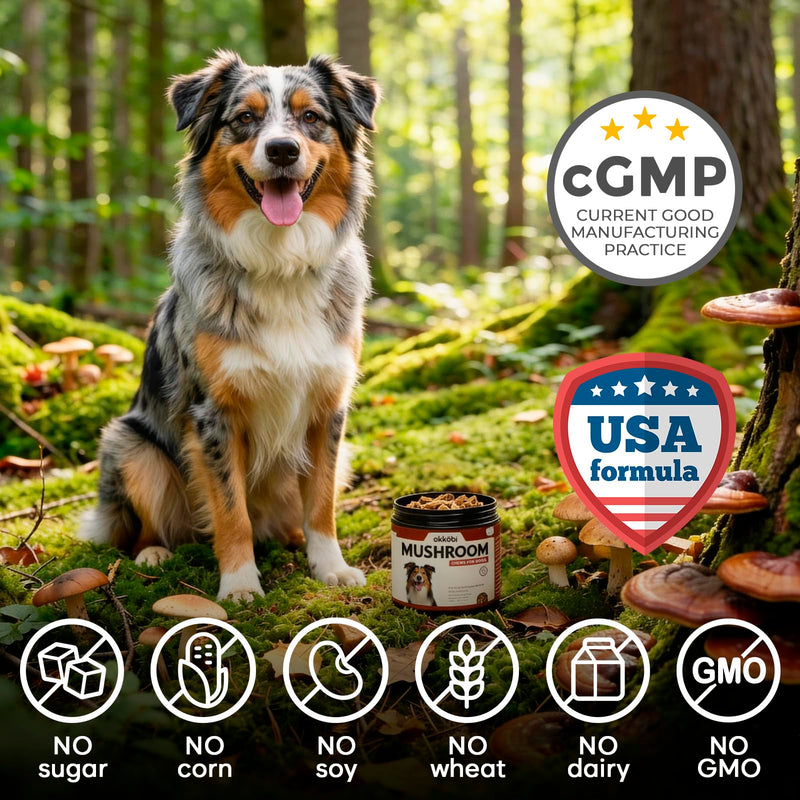 Turkey Tail Mushroom for Dogs - 150 Soft Chews - with Turkey Tail, Lion’s Mane, Chaga, Reishi & Shiitake - Immune Support & Cognitive Health Mushroom Supplement for Dogs