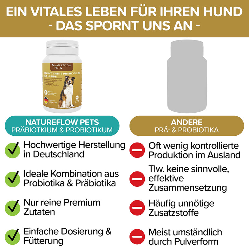 Probiotics intestinal cleansing for dogs - premium quality made in Germany - probiotics for dogs - 120 tablets for improved digestion and immune system - building dog intestinal flora with Natureflow Pets - BeesActive Australia