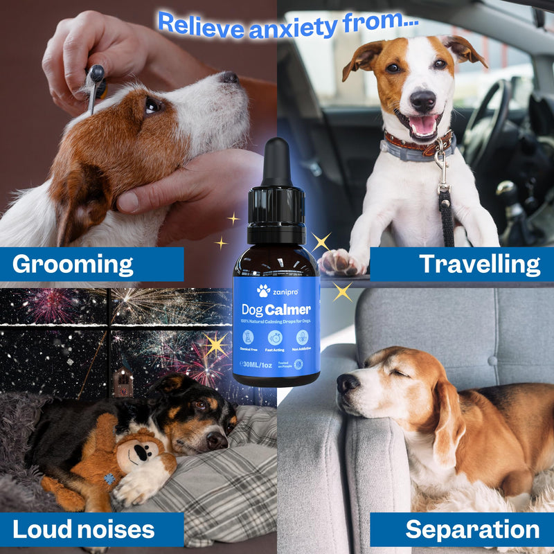 Valerian Dog Calming Drops 30ml – Natural Dog Anxiety Relief Supplement with Ashwagandha & Magnesium, Use for Stress, Separation, Fireworks, Travel & Relaxation Support for Dogs