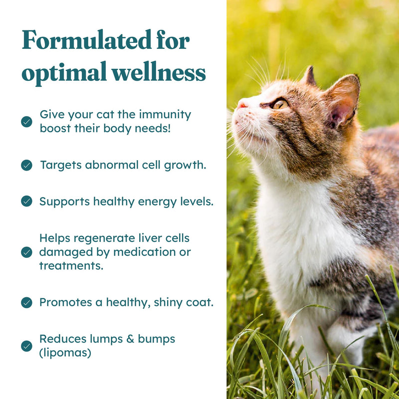PetHeal Immune Plus Chews for Cats - Vet-Reviewed - Boosts Immunity & Liver Health with Turkey Tail, Reishi & Milk Thistle | Promotes Shiny Coat & Reduces Lumps | 60 Chicken-Flavored Soft Chews