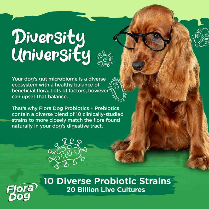 Vital Planet - Flora Dog Probiotic Chewable Tablets Supplement with 20 Billion Cultures and 10 Strains, High Potency Immune and Digestive Support Probiotics for Dogs, 30 Beef Flavored Chewable Tablets - PawsPlanet Australia
