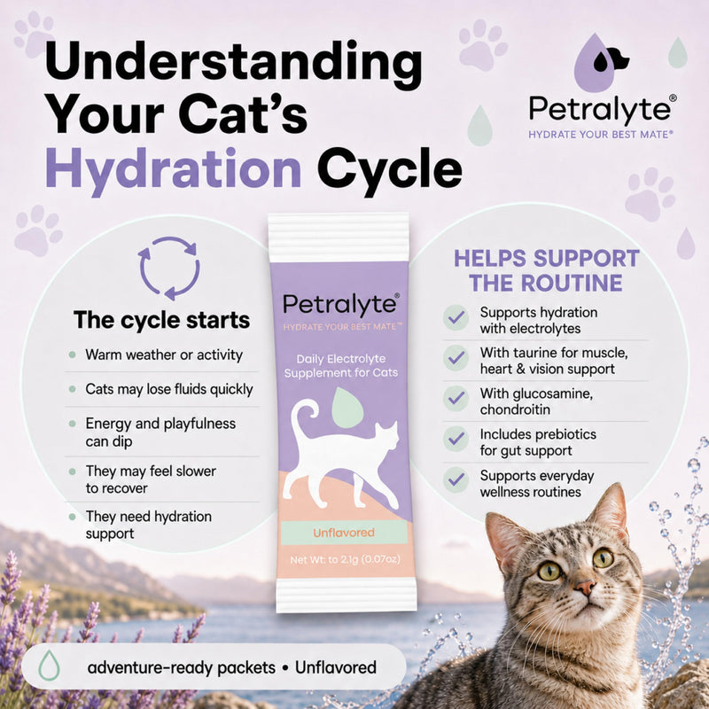 Petralyte Cat Hydration Electrolyte and Cat Joint Supplement | Hydration Support for Cats w/Glucosamine, Chondroitin, L-Glutamine, Taurine, Lysine & Prebiotics | Unflavored | 16 Packets 1-Pack (16 Packets)