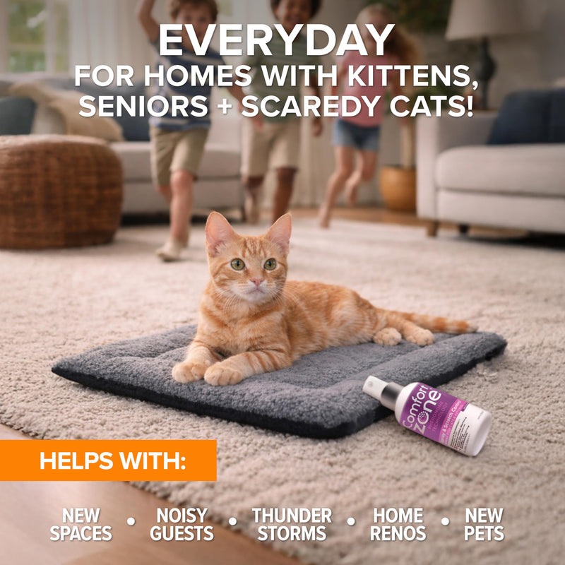 K&H Self-Warming Cat Bed Pad + Comfort Zone Cat Calming Pheromone Spray Bundle - Includes Self Heating Mat for Indoor Pets and Calming Spray, 60ml - Reduce Stress During Travel, Vet Visits & Home