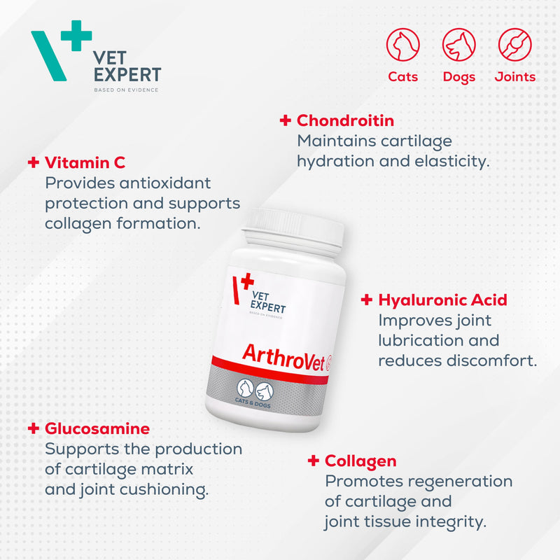 Vet Expert ArthroVet Hip & Joint Support Supplement for Dogs and Cats - 90 Portions – Promotes Healthy Articular Cartilages and Joints with Glucosamine, Chondroitin, Vitamin C, and Hyaluronic Acid