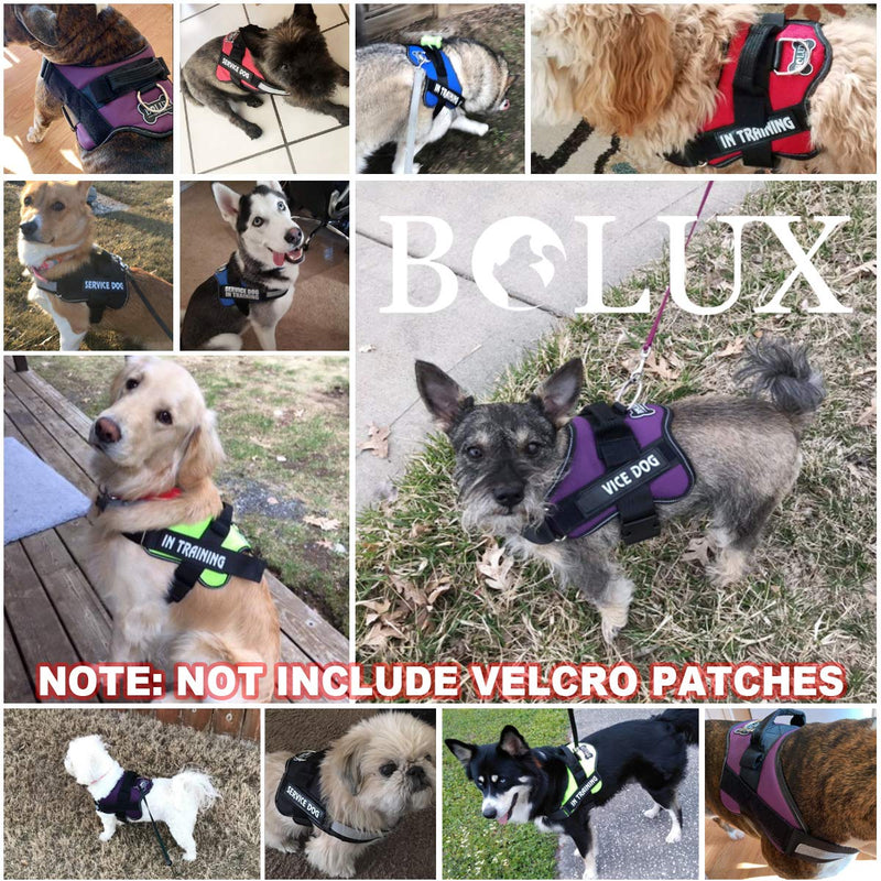 Bolux Dog Harness, No-Pull Reflective Dog Vest, Breathable Adjustable Pet Harness with Handle for Outdoor Walking - No More Pulling, Tugging or Choking (Blue, S) Small (Pack of 1) Blue - BeesActive Australia