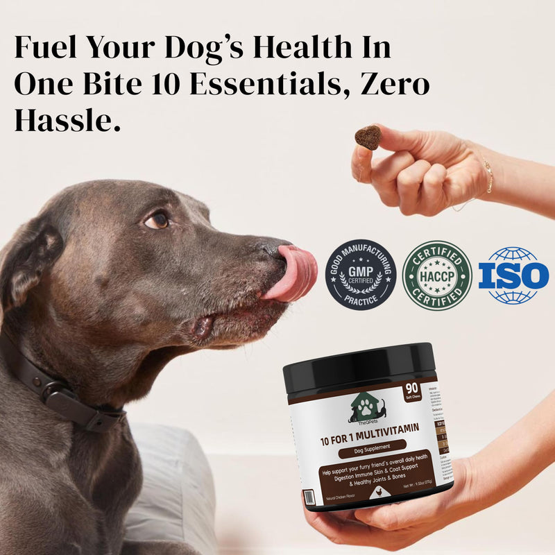 Dog Multivitamin Chews 10-in-1 - Glucosamine Probiotics 3 Billion CFU Omega CoQ10 - Dog Vitamins for Joint Immune Gut Skin Coat - 90 Soft Chews