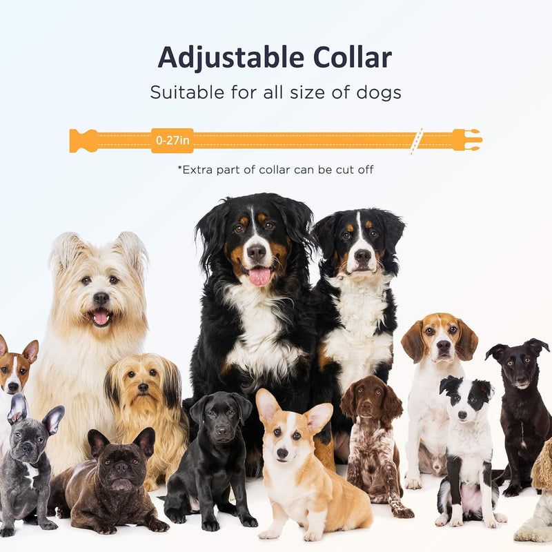 PATPET Dog Shock Collar with Remote - 3 Safe Training Modes, Rechargeable Waterproof Dog Training Collar for Small Medium Large Dogs (8-120 lbs), 3000Ft Control Electric Bark Collar with Remote - BeesActive Australia