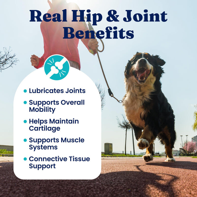 Solid Gold Hip and Joint Supplement for Dogs - Glucosamine Chondroitin MSM for Advanced Joint & Mobility Support - Omega 3 Fish Oil Antioxidant & Immune Health Support Complete Joint Health - 60 Chews