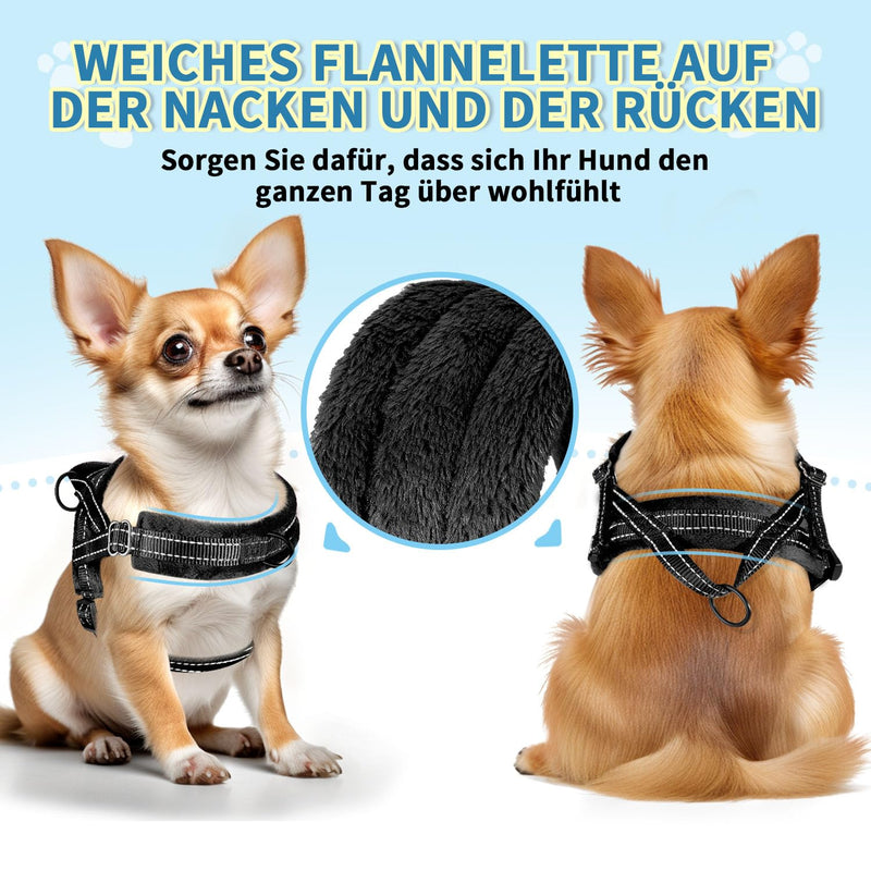 Eyein Dog Harness with Leash for Small Medium Dogs, No-Pull Adjustable Chest Harness with 2 Leash Clips, Reflective & Lightweight Harness with Soft Padding (Black, XXS) Black - BeesActive Australia