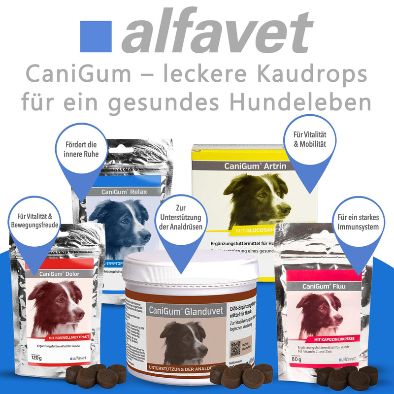 alfavet CaniGum Relax Chew Drops for Dogs (120 g) – Calming Supplement – With L-Tryptophan, B Vitamins, Magnesium & Herbal Blend