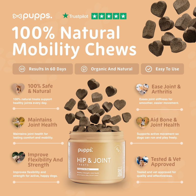 Pupps Hip & Joint Dog Treats – 120 Chews with Glucosamine (1000mg), Green Lipped Mussel & MSM | Joint Support for Dogs of All Ages | Helps Mobility, Stiffness & Comfort | Vet Approved, UK Made 120 x Chews