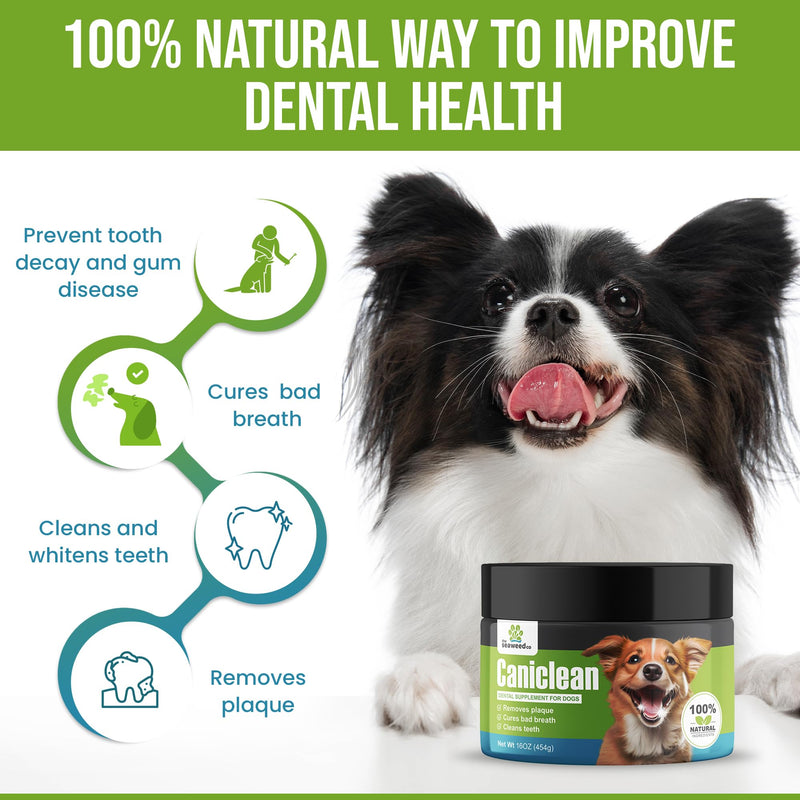 Caniclean Seaweed for Dogs Teeth - Dog Tartar Removal Tool, Plaque Remover, and Breath Freshener - Get Plaque Off Dogs Teeth Naturally. 14oz/396g. - PawsPlanet Australia