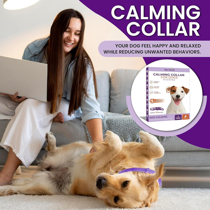 Pets vv Calming Collar for Dogs 3 Packs Pheromone Collar Calm Anxiety Relief, Adjustable Dog Calming Collars for Dog and Puppy Lasts 60 Days, 25 Inches blue - BeesActive Australia