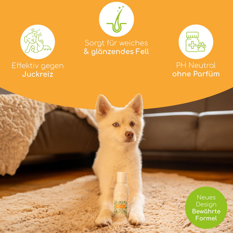Puppy shampoo sensitive for dogs - pH neutral, without perfume, for long hair and short hair, 100% plant-based active ingredients - for dandruff, itching and mites, 100ml puppy shampoo - BeesActive Australia