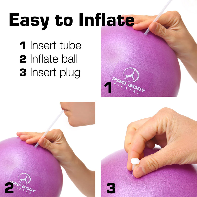 ProBody Pilates Exercise Balls Physical Therapy - 9 Inch Small Exercise Ball for Between Knees for Rehab, Barre, Core, Stability & Yoga Rose