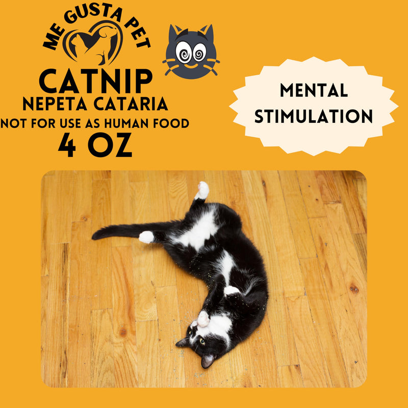 Catnip Cat Nip Blend | Premium Canadian Catnip Bulk Strong Cat Nip for Cats | Cat Nip Treats | All-Natural Cat Nip | Catnip Bag | Catnip Kitty Safe | Catnip Refill for Catnip Toys (4 Ounce) - BeesActive Australia