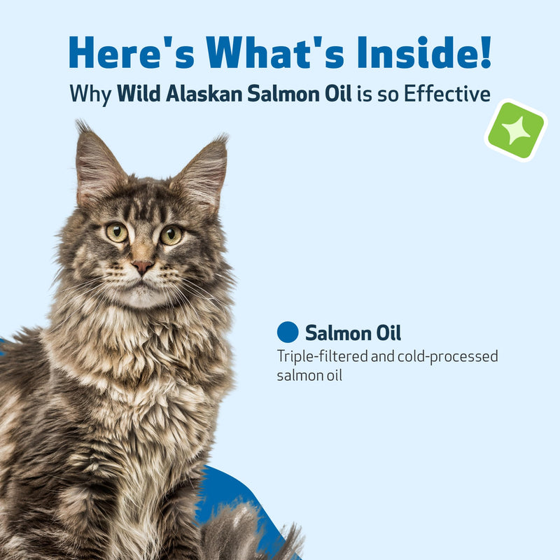 Pet Wellbeing Wild Alaskan Salmon Oil for Cats - Wild-Caught, Cold-Processed, Daily Omega-3 Fish Oil for Healthy Coat and Skin, Joint Mobility and Strength - EPA, DHA - 8 fl oz (236 ml) - BeesActive Australia