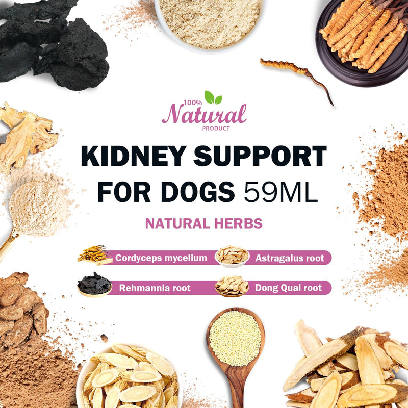 Kidney Support Supplement for Dogs - Supports Kidney Function Health in Dog - Natural Herbal Drops 2 oz - Improve Blood in Urine, Lack of Appetite, Weight Loss, Excessive Drinking, Lethargy, Dull Coat - PawsPlanet Australia