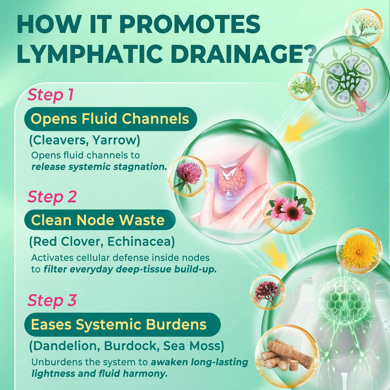 Liposomal Lymphatic Drainage Supplements Gummies, 16-IN-1 Lymph & Immune System Blend with Echinacea, Burdock Root, Dandelion, Cleavers, Vitamin A C D3 Zinc, Potassium Magnesium for Cleanse, 120cts