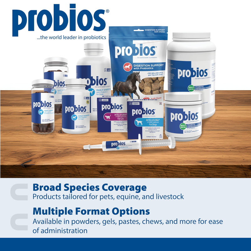 Probios Digestive Support Probiotic for Dogs, Horses, Cats, Gut Health Powder for All Species, Daily Supplement for Digestion Immune Support, 240 Grams (Pack of 2) 8.46 oz (Pack of 2)