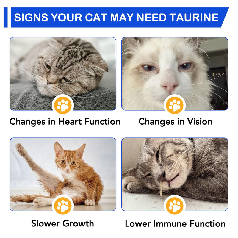 Taurine for Cats, Taurine Supplement for Cats Liquid Drops 60ml, Natural Amino Acid Cat Supplements - Heart, Vision Health, Muscle & Activity Support for All Ages