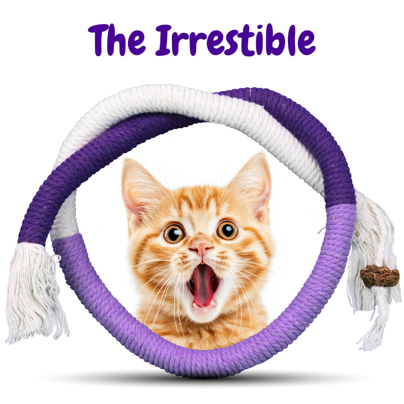 Cat Chew Rope - 3 Pack Cat Chew Ropes for Teeth Cleaning, Kitten Teething Toys with Stick to Transfer Chewing from Wires to Cotton String 3 Chew Ropes