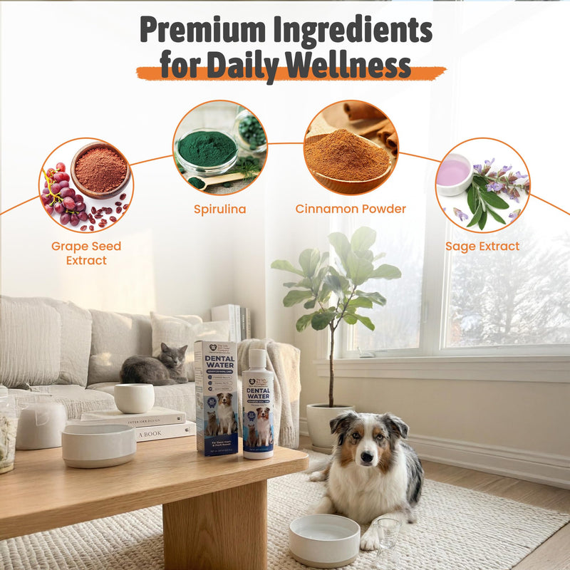 Dental Water for Dogs & Cats – Freshens Breath, Reduces Tartar, Cleans Teeth – Natural Enzyme Formula with Grape Seed Extract, Spirulina, Cinnamon & Sage Advanced Oral Care for Pets, 250ml (8 fl. oz.)