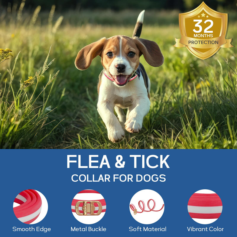 4 Pack Flea and Tick Collar for Dogs- Adjustable Dog Flea and Tick Collar- 32 Months Dog Flea and Tick Treatment - Water Resistant Dog Flea Collars for Puppy Small Medium Large Dog- Red & White - BeesActive Australia