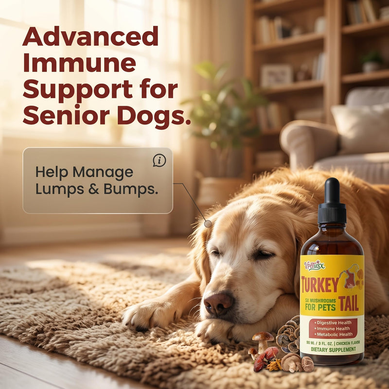 Turkey Tail Mushroom Supplement for Dogs - Liquid Immune Support Drops for Lumps & Bumps - 7-in-1 Blend with Turmeric & Probiotics, Chicken Flavor (90 ML)