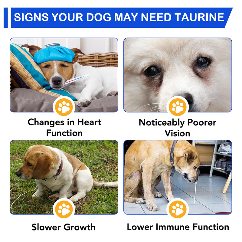 Taurine for Dogs - Taurine Drops for Dog Supports Heart Health, Muscle Function & Daily Vitality Immune System - Liquid Amino Acid Supplement - Pet Wellness Formula for All Breeds Dogs - 2 fl oz