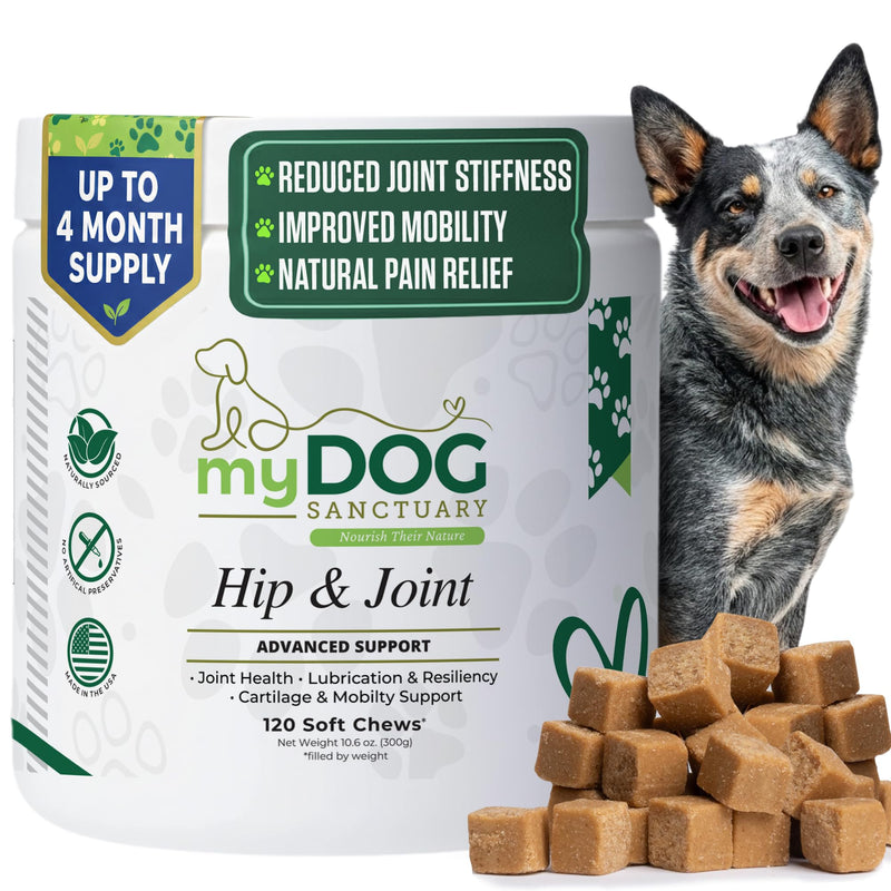 Hip & Joint Supplement for Dogs – 120 Soft Chews, Bacon Flavor | Glucosamine, Chondroitin & MSM for Mobility, Flexibility & Cartilage Support | for All Breeds