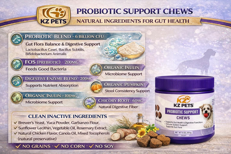 Probiotic Support Chews for Dogs – 6 Billion CFU 5-Strain Dog Probiotic with Prebiotics & Digestive Enzymes – Gut Health, Digestive Support & Immune Support Supplement – 100 Soft Chews