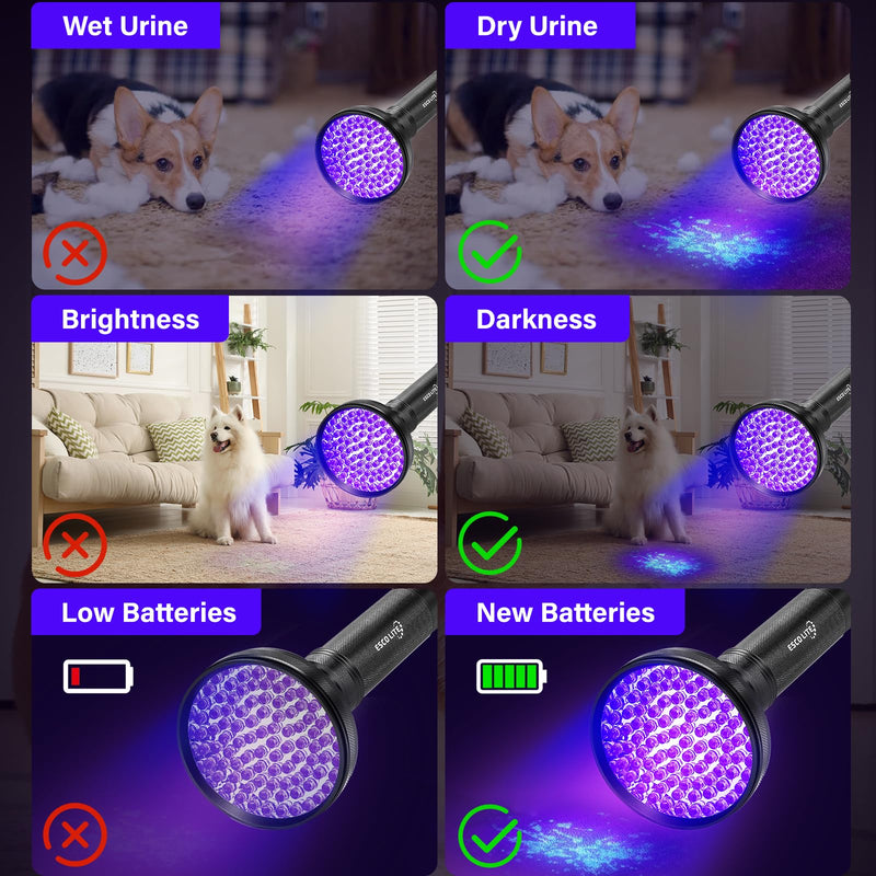 Escolite UV Flashlight Black Light, 100 LED 395 nM Ultraviolet Flashlights UV blacklight Detector for Dog Urine, Pet Stains and Bed Bug, Matching with Pet Odor Eliminator - BeesActive Australia