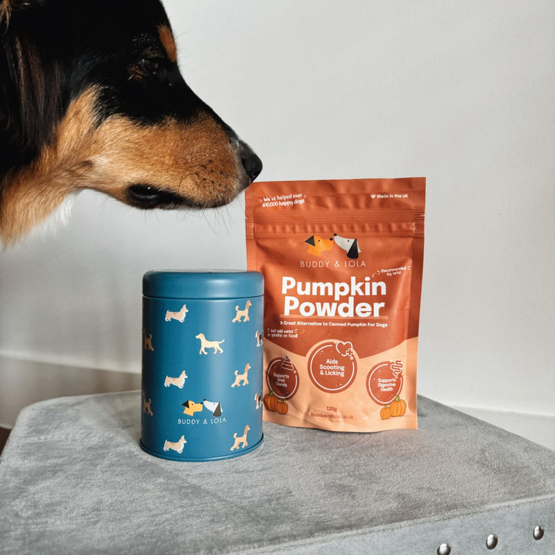 Buddy & Lola 100% Natural Pumpkin Powder For Dogs, Canned Pumpkin Alternative, High Fibre Supplement, Easy To Use Puree For Dogs UK 120g