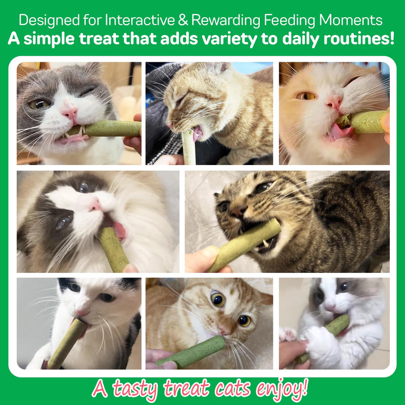 60g Cat Grass Sticks, Freezed Dried Cat Grass SticksSnacks for Teeth Cleaning and Hairball Removal Toy, Grass Stick Chew Dental Food for Indoor Kitty Lickable Edible Snack