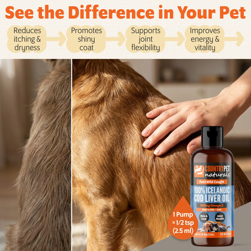 Wild-Caught Pure Icelandic Cod Liver Oil for Dogs & Cats 8oz, Single-Ingredient, 1150 mg Omega-3, High EPA/DHA, Natural Vits A&D, Supports Healthy Skin, Coat & Mobility, 8oz bottle 8 oz