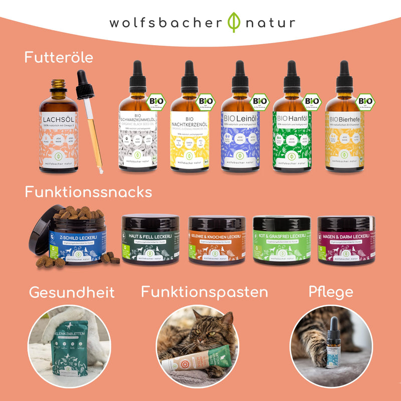 Salmon oil for cats with Omega 3 & 6 I 100ml Norwegian, natural salmon oil from Atlantic sea salmon I High-dose supplement for cats 100ml cat - BeesActive Australia